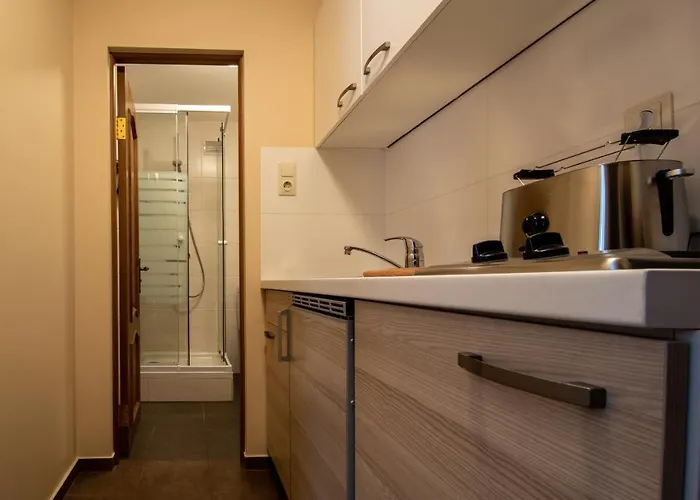 Bergzeit Appartments バードガシュタイン