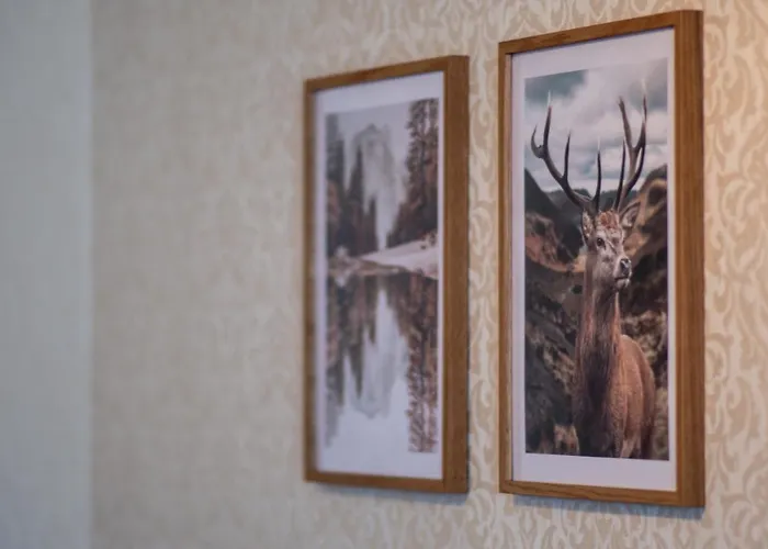 Bergzeit Appartments *